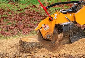 Leaf Removal in Gleed, WA